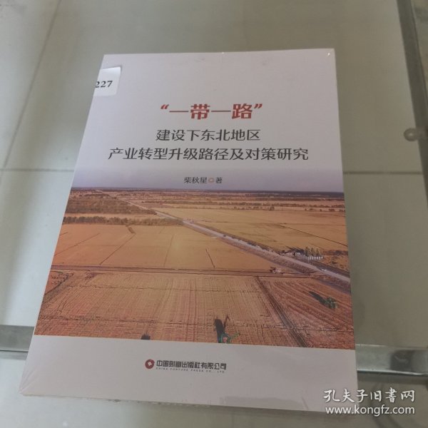 一带一路建设下东北地区产业转型升级路径及对策研究