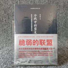 冷战中的盟友：社会主义阵营内部的国家关系