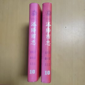 洛阳市志 第十卷