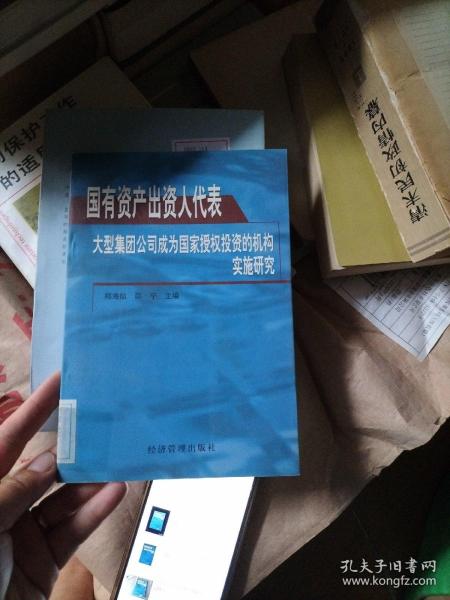 国有资产出资人代表:大型集团公司成为国家授权投资的机构实施研究