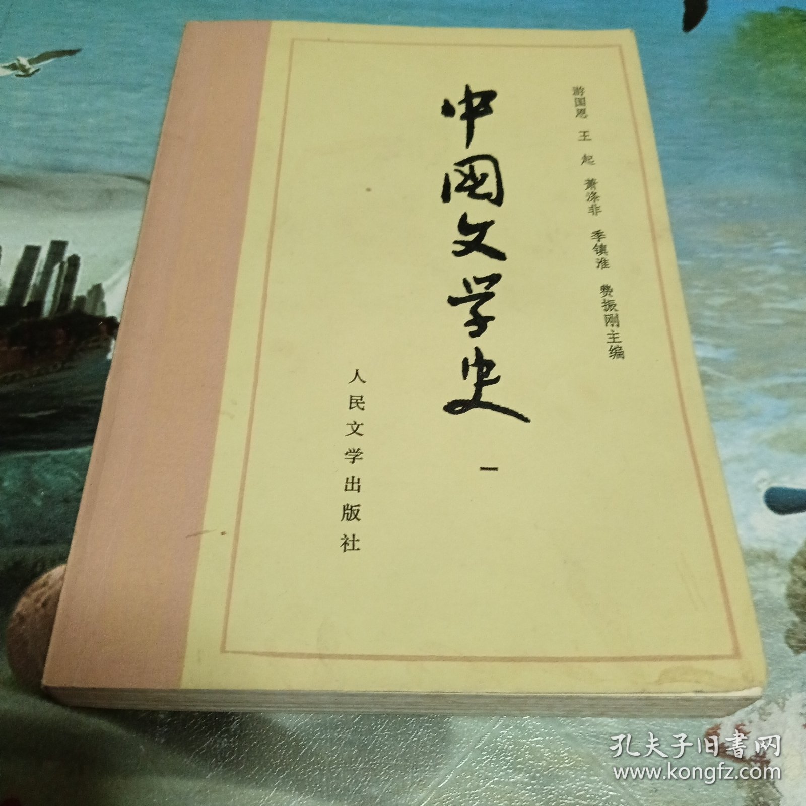 中国文学史（一二三四册）