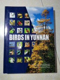 精装BIRDS IN YUNNAN