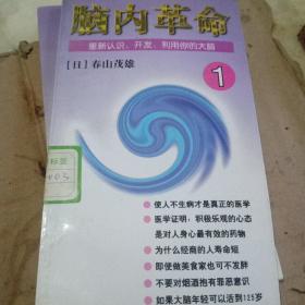 脑内革命 第一卷:重新认识、开发、利用你的大脑：重新认识、开发、利用你的大脑--第一卷的新描述