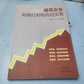 建筑企业财税红利和内控实务