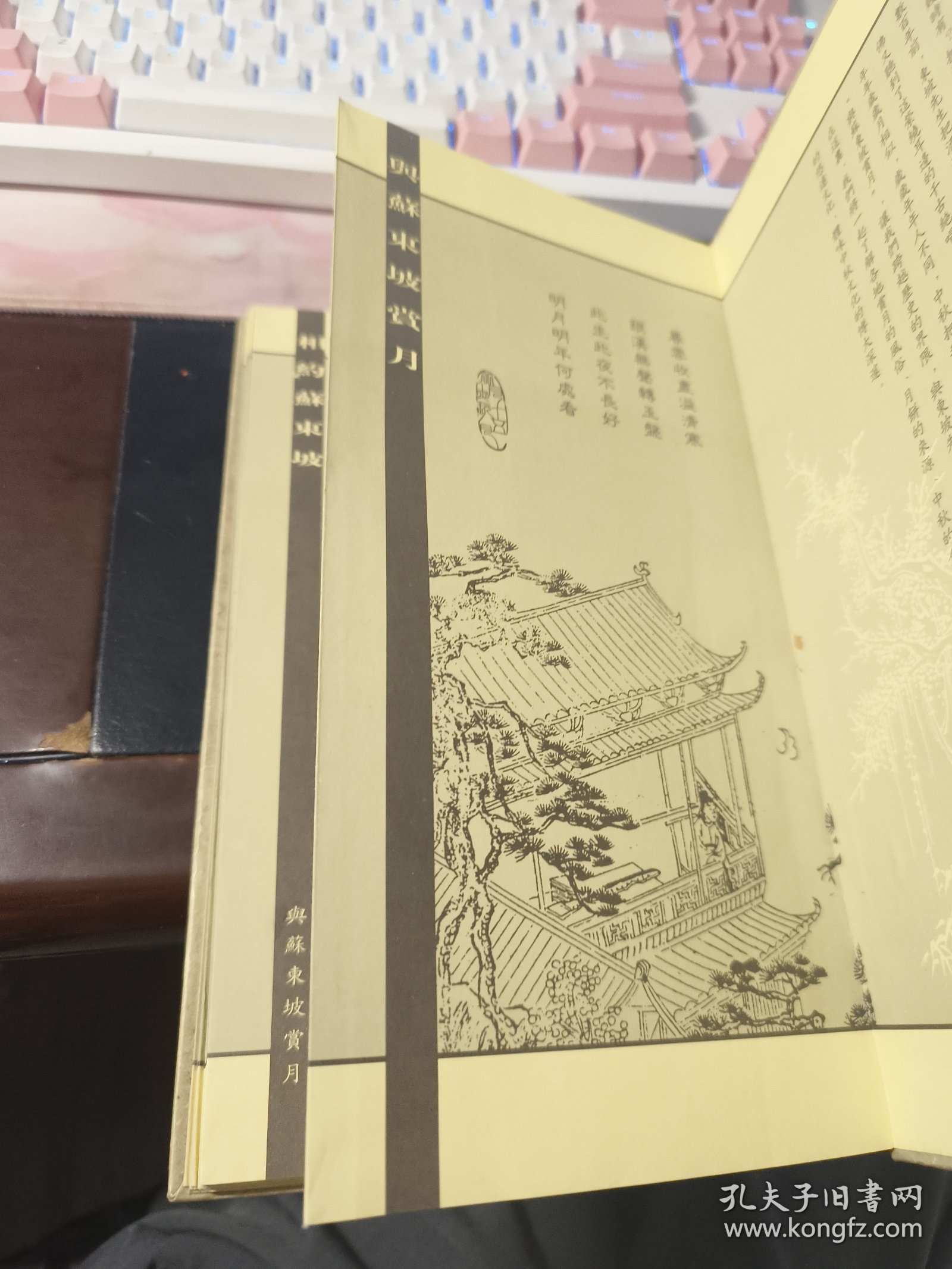 与苏东坡赏月