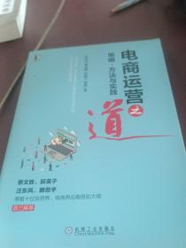 电商运营之道：策略、方法与实践