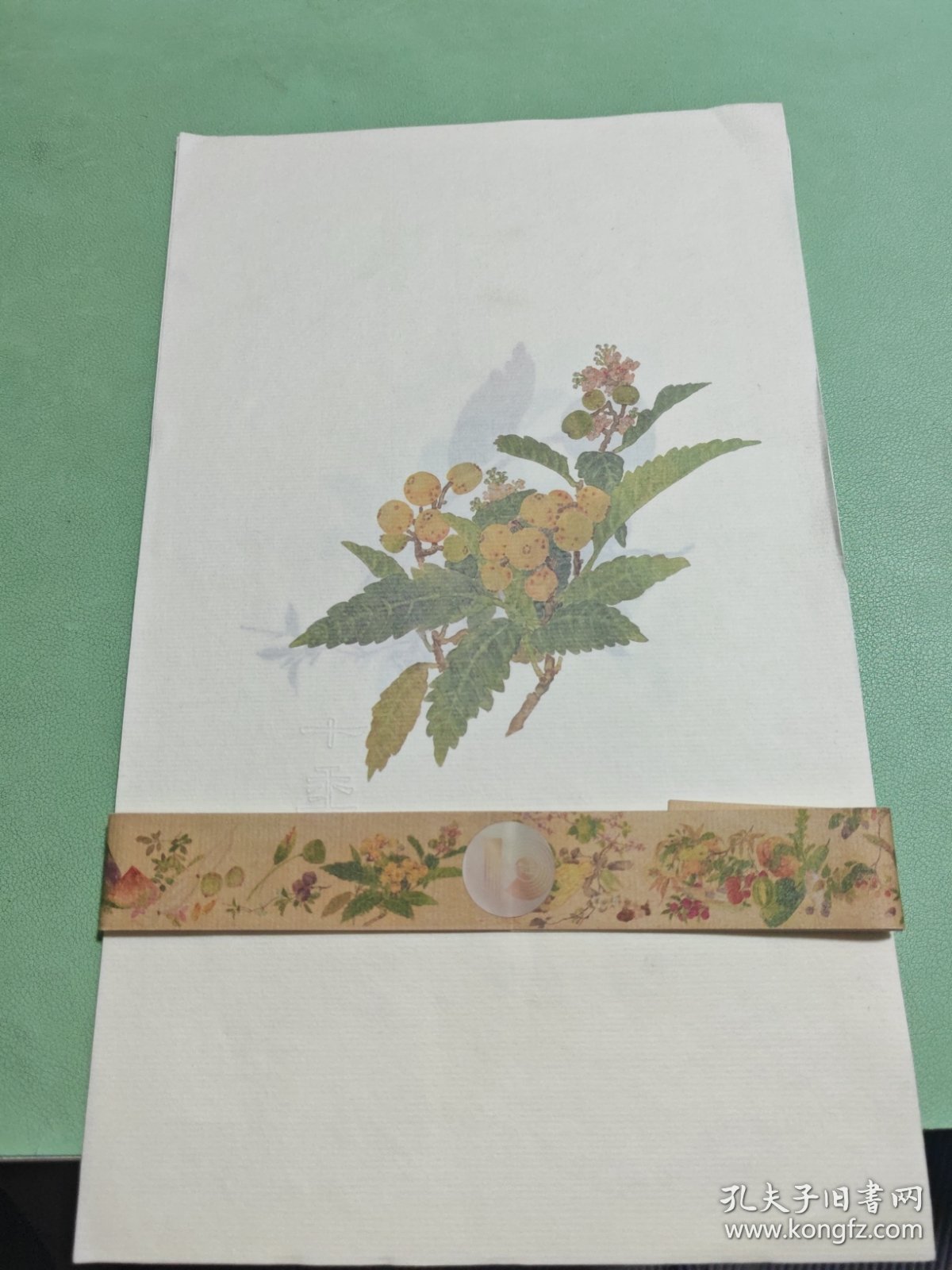 画册