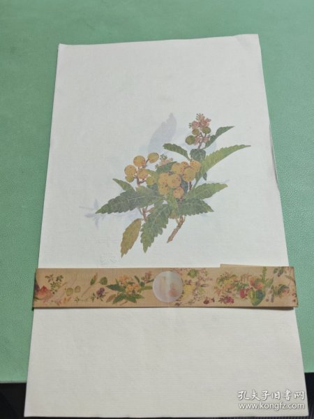 画册
