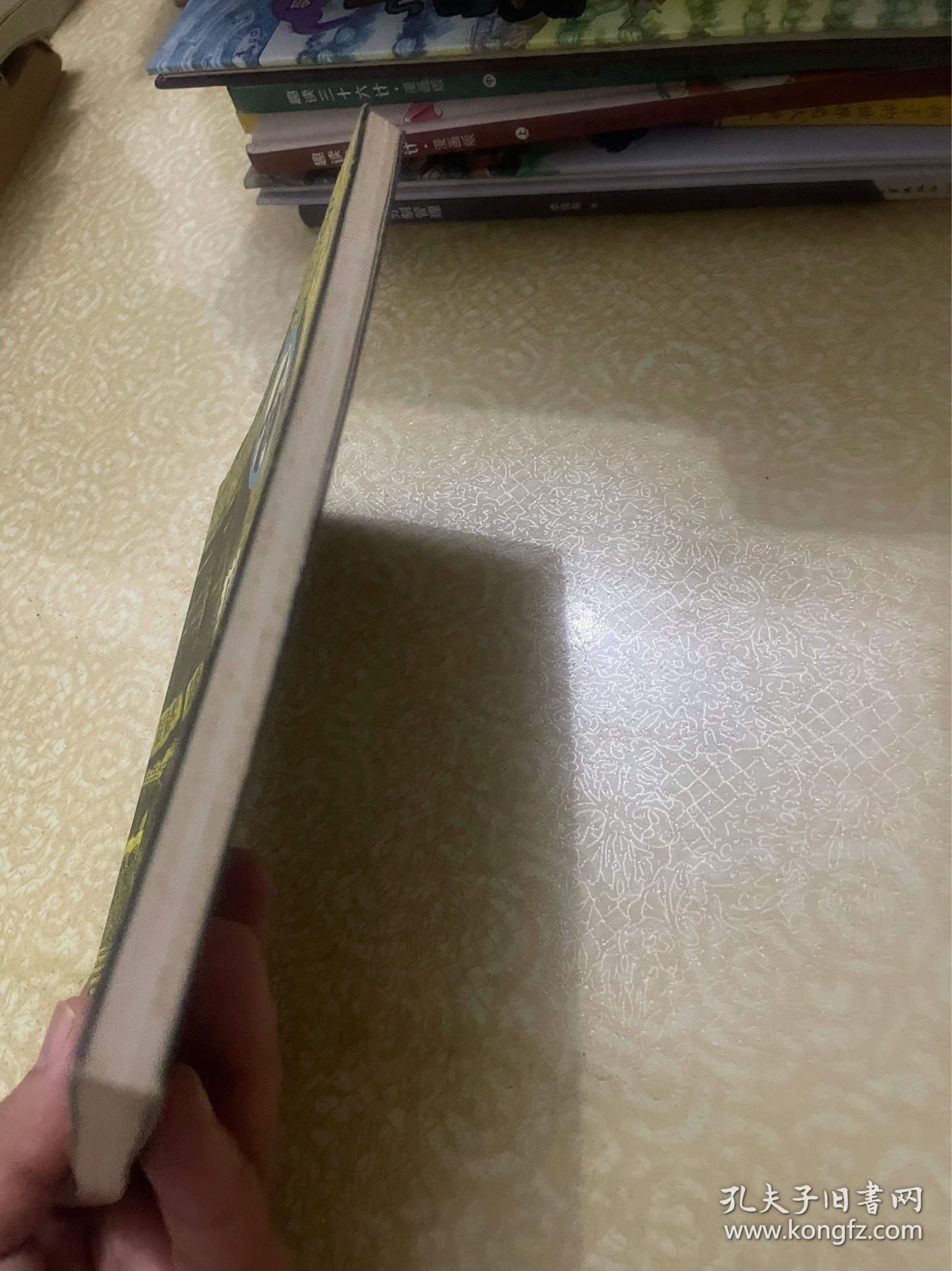 猫与鼠