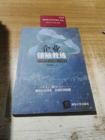 企业领袖教练 陈百加原名陈晓玲 著