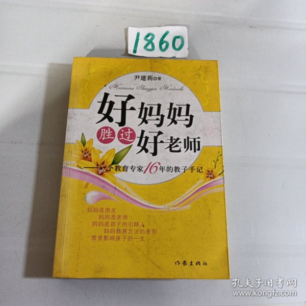 好妈妈胜过好老师：一个教育专家16年的教子手记