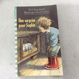 Une surprise pour Sophie 法语