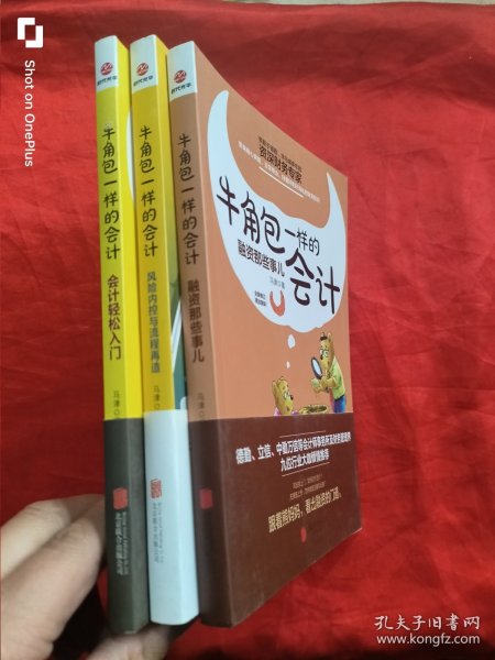 牛角包一样的会计：风险控制与流程再造