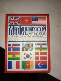 旗帜插图百科：辨识国旗、军旗等各种旗帜类型的权威指南