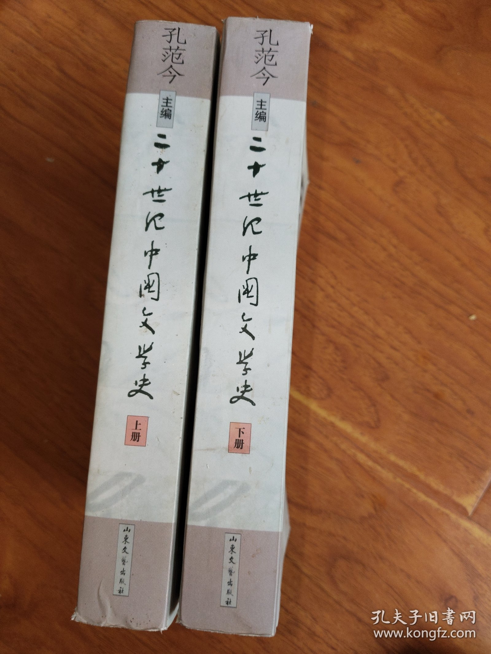 二十世纪中国文学史（上下）