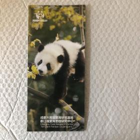 成都大熊猫繁育研究基地都江堰繁育野放研究中心折页