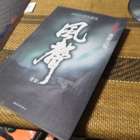 风声：麦家文集