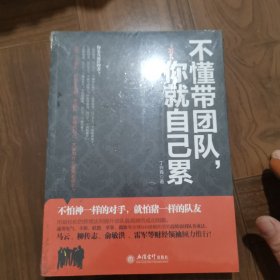 不懂带团队你就自己累