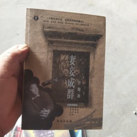 妻妾成群
