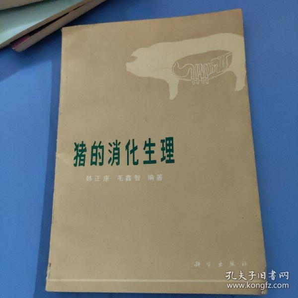 猪的消化生理