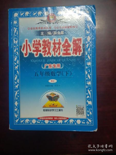 小学教材全解 五年级数学下 人教版 2017春