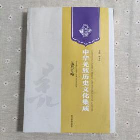 中华羌族历史文化集成 羌族史略