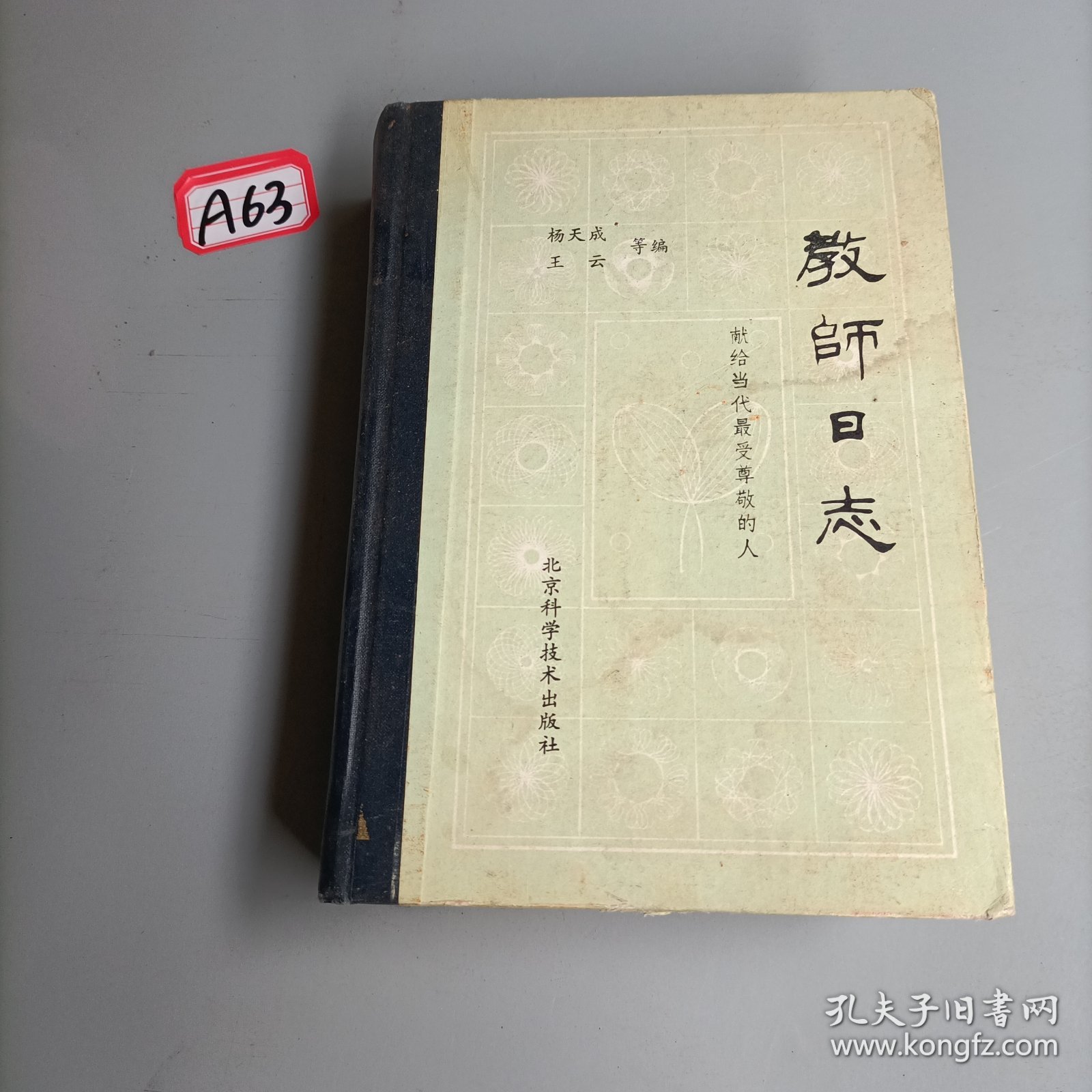 教师日志