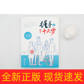 握手在十六岁/孙云晓教育文学系列