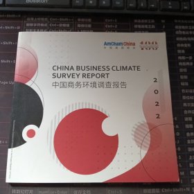 中国商务环境调查报告2022