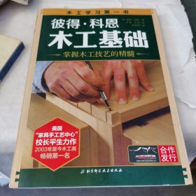 彼得·科恩木工基础：掌握木工技艺的精髓