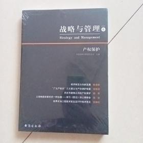 战略与管理6.产权保护