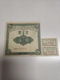 云南股票/1958年昆明市社会福利事业集资委员会股金券