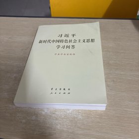 习近平新时代中国特色社会主义思想学习问答大字版