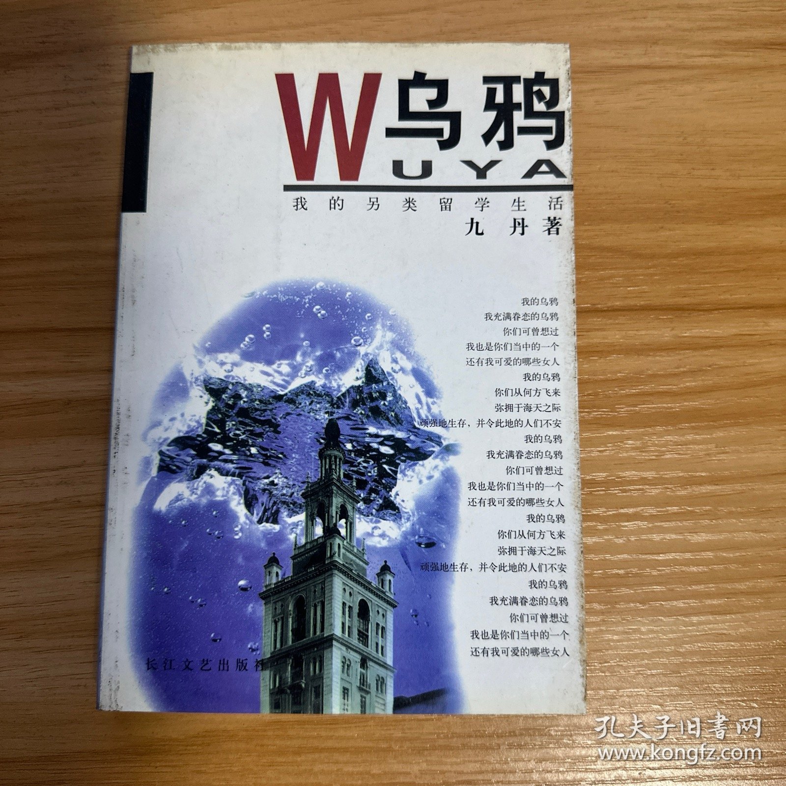 乌鸦：我的另类留学生活