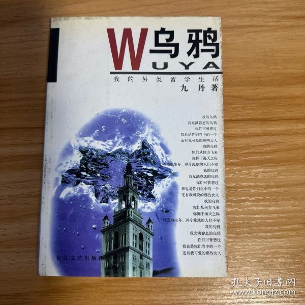 乌鸦：我的另类留学生活