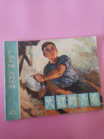 广阔天地，大有作为 火红的青春