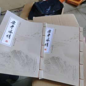 原平文史第三十八辑（两册合售）