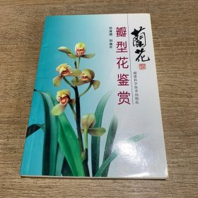 兰花瓣型花鉴赏