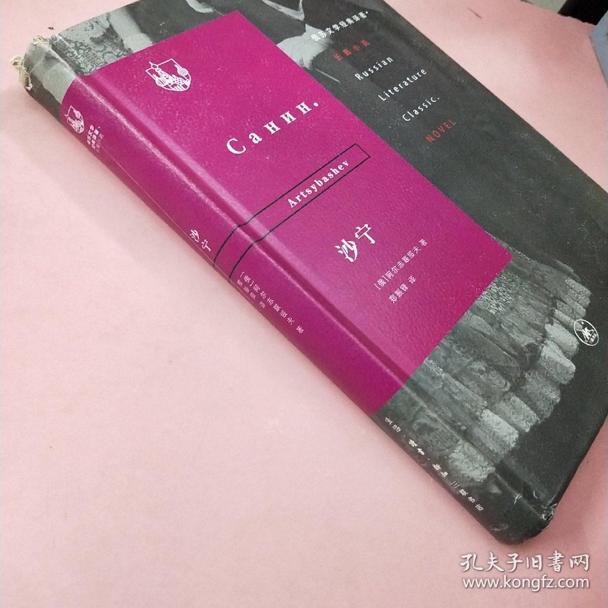 俄苏文学经典译著·沙宁