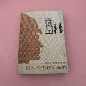 钢铁是怎样炼成的