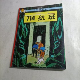 丁丁历险记·714航班（小16开）