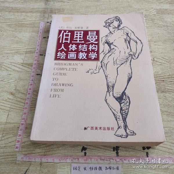 伯里曼人体结构绘画教学