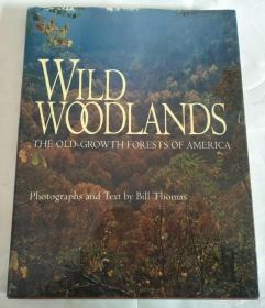 wtld woodlands the old growth forests of america