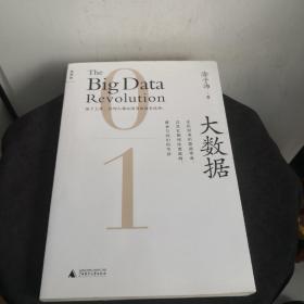 大数据：正在到来的数据革命，以及它如何改变政府、商业与我们的生活