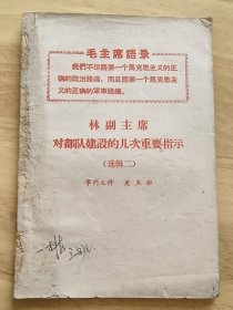 林副主席指示