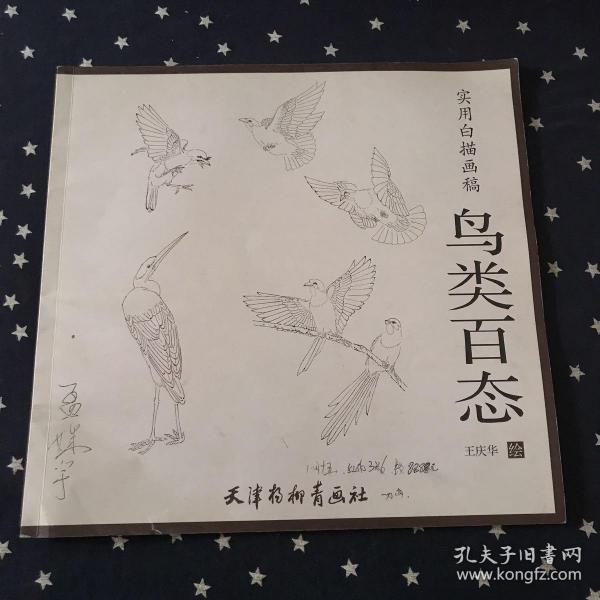 实用白描画稿：鸟类百态