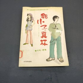 那小子真坏