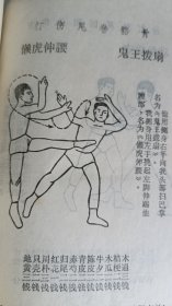 少林寺拳术与药方 （全册）