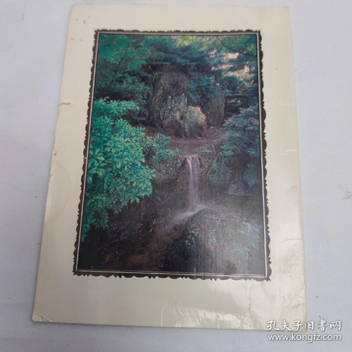 卡片:小旋风林志颖 情意浓浓 (林志颖出生年月、身高体重 、《十七岁的雨季》歌词)