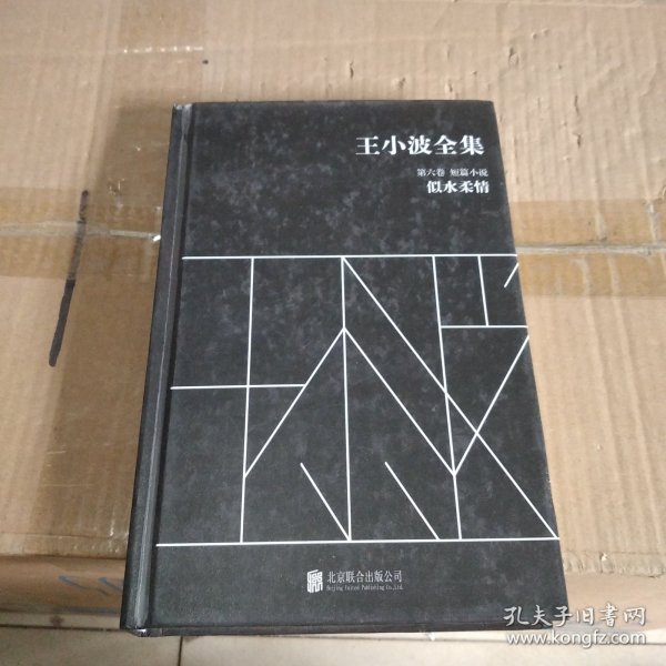 王小波全集（第六卷 短篇小说）：似水柔情